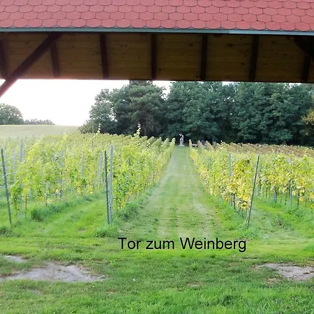 Apartment Am Weinberg