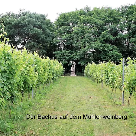 Am Weinberg Apartment Bestensee
