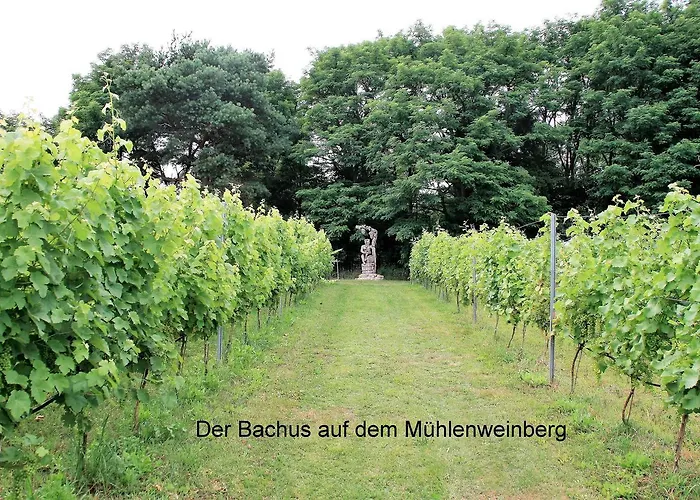 Am Weinberg شقة Bestensee